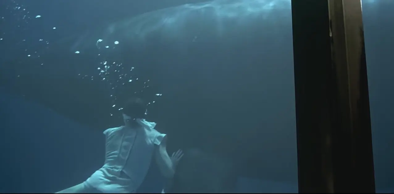 经典场景：史波克与鲸鱼进行心灵融合